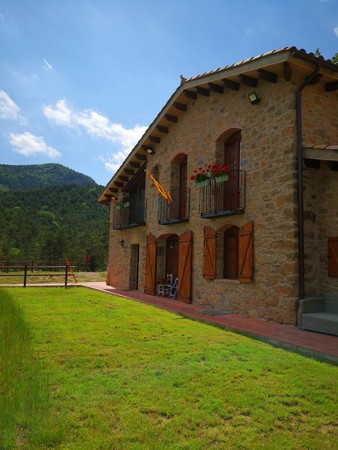Image11