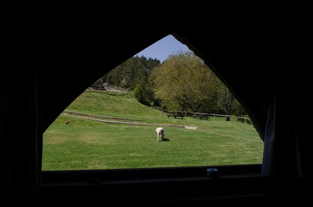 Image08