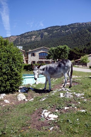 Image23
